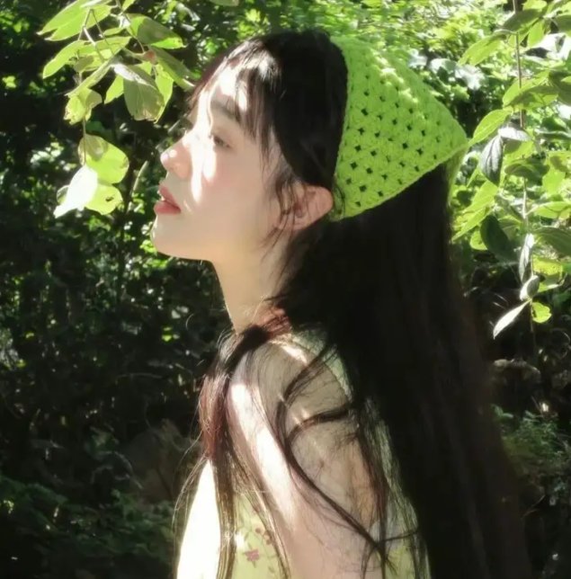 稗记舞咏